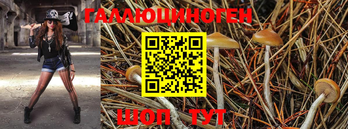 Псилоцибиновые грибы мухоморы Строитель